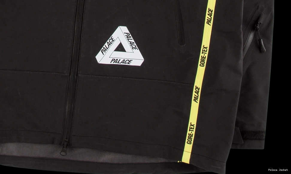 Palace Gore-Tex Jacket Palex 0816